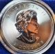 2015 Canadian Silver Wolf 3/4 Oz.  Silver.  9999 Bu Coin Coins: Canada photo 1