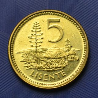 Lesotho Coin 5 Lisente 1998.  Km62.  Africa.  Unc. photo