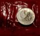 2006 1 Oz $50 Canadian Palladium Maple Leaf Coin -.  9995 Fine Palladium - Bullion photo 2