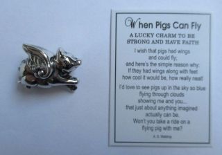 C When Pigs Can Fly Pig Miniature Pocket Charm Ganz Be Strong Have Faith photo