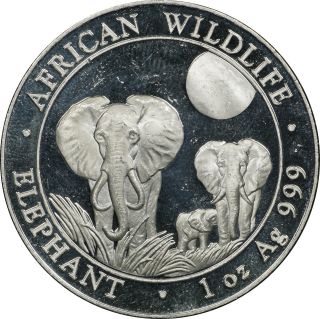 2014 Somalia African Wildlife Elephant 100 Shillings - 1 Oz 0.  999 Silver Coin photo