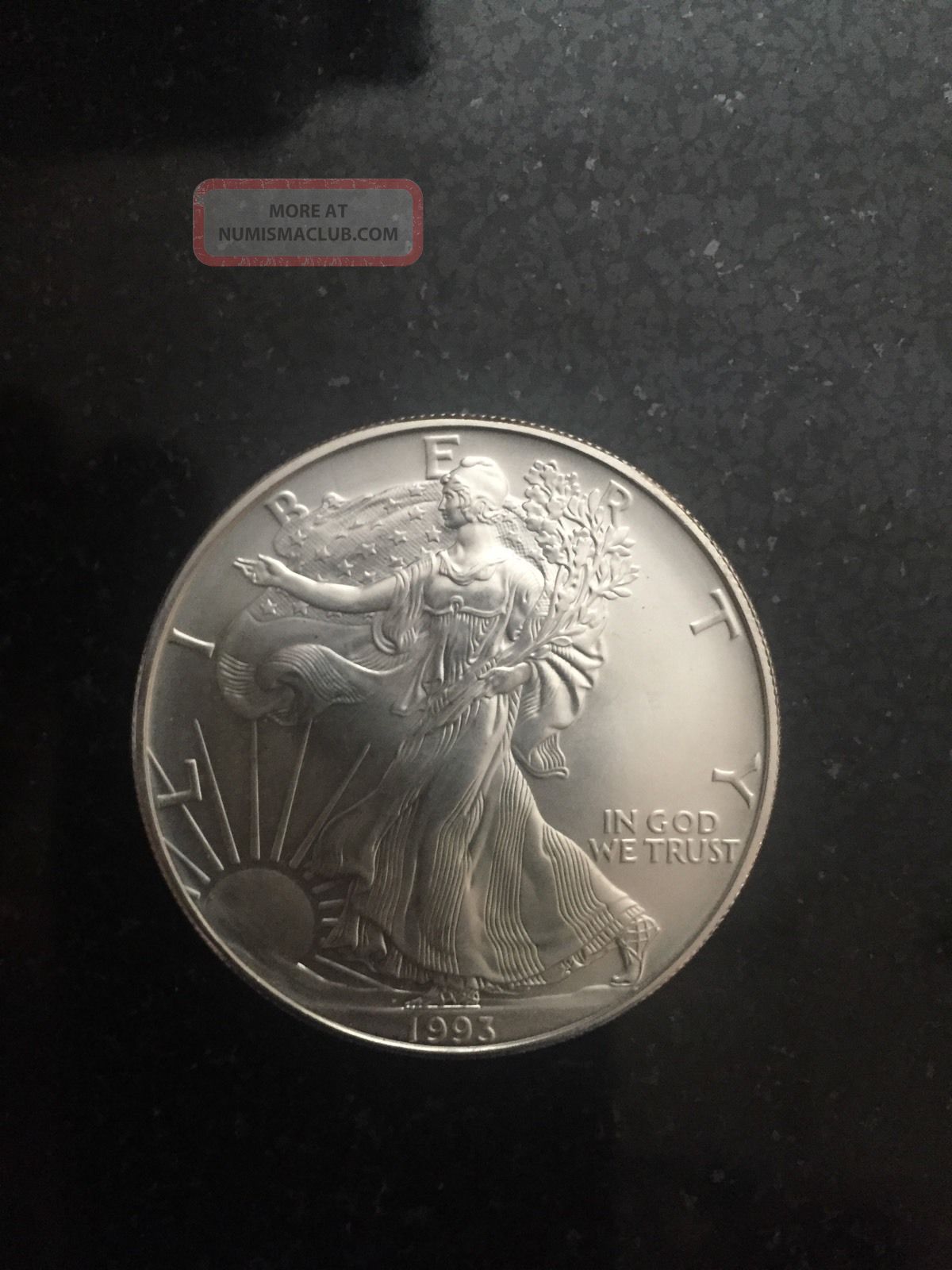 1993 1 Oz Silver American Eagle (brilliant Uncirculated) Coins photo