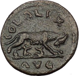 Elagabalus 218ad She - Wolf Romulus Remus Alexandria Troas Roman Coin I52394 photo