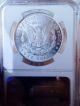 1885 P Morgan Ngc Ms65,  Frosty Blast White Beauty Wow Coin Pq,  Nr Dollars photo 1