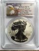 2013 - W (reverse Proof) American Silver Eagle - First Strike Pcgs Ms70. Coins: US photo 2