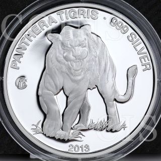 Laos 2013 1000 Kip Tiger Panthera Tigris Fauna Fabulous 15 Proof Silver Coin photo