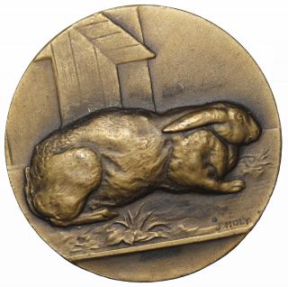 1891 France French Agriculture Bronze Medal Rabbit By Holy Paris photo