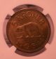 1944 Greenland 5 Kroner Ngc Ms63 Rare Polar Bear Denmark Ww2 Other Oceania Coins photo 2
