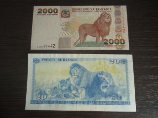ругие африканские бумажные деньги photo