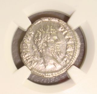 Ad 193 - 211 Septimius Severus Ancient Roman Silver Denarius Ngc Choice Xf photo