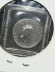 1993 Canada Maple Leaf $5 Platinum 1/10 Oz Coin Royal Canadian Platinum photo 1