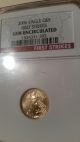 2006 1/10 Oz Gold Eagle Gem Uncirculated Ngc (first Strike) Gold photo 1