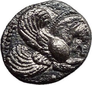Lampsakos In Mysia 500bc Pegasus Winged Horse Ancient Silver Greek Coin I38597 photo