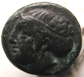 Ancient Greek Coin/ionia/phocaea/nymph/saccos/head Of Griffin photo