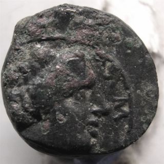 Ancient Greek Coin/mysia/lampsakos/female W/earring/pegasos photo