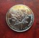 1992 1 Oz Canadian Platinum Maple Leaf Coin Platinum photo 1