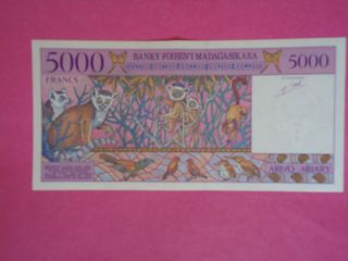 Madagascar 5000 Francs Aunc photo