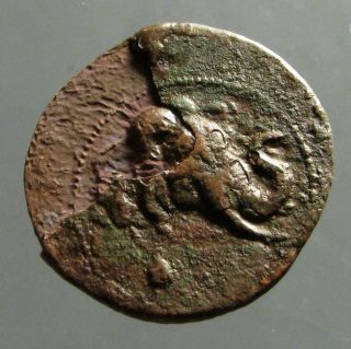 Demetrios I Of Bactria Bronze Ae30_rejoicing Elephant_the Second Alexander photo