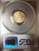 2003 1/10 Oz $5 Gold American Eagle Pcgs Certified Ms 69 Coins photo 1