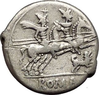 Roman Republic 146bc Dioscuri Gemini Twins Horses Dog Ancient Silver Coin I53883 photo