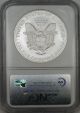 2006 First Strike American Silver Eagle Coin Ase Ngc Gem Uncirculated Unc (9) Silver photo 1