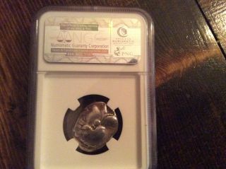Authenticated Athena Owl Coin 393 - 294 Bc photo
