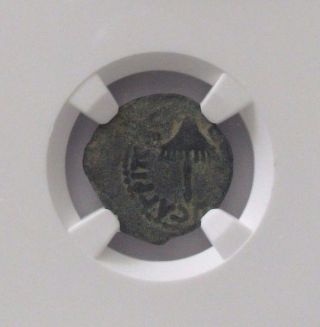 Judea Ancient Coin Agrippa I,  Ad 37 - 44 Ae Prutah Ngc F photo
