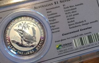 (scarce Littleton) 1992 (bu) Australian Silver Kookaburra 1 Oz.  999 Pure Ag photo