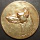 Dutch Bronze Dog Medal Dobermann Pinscher Exonumia photo 1