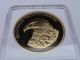 American Symbols Of Freedom Bald Eagle Coin Proof Layered In 24k Gold Coin Exonumia photo 7