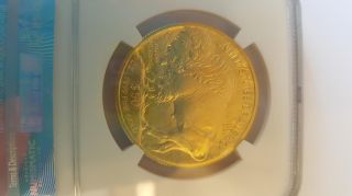 Ms 70 First Release 2016 50 Dollar 1 - Oz Gold Buffalo 99.  99 Gold Bullion Coin photo