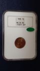 1905 P Indian Head Cent Ngc & Cac Ms64 Rd Red 1c Uncirculated Penny Indian Head (1859-1909) photo 1