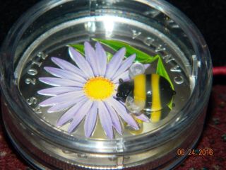 2012 Canada $20 Colored Bumble Bee & Aster Flower Silver Coin With Murano Glass photo