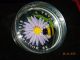 2012 Canada $20 Colored Bumble Bee & Aster Flower Silver Coin With Murano Glass Coins: Canada photo 1
