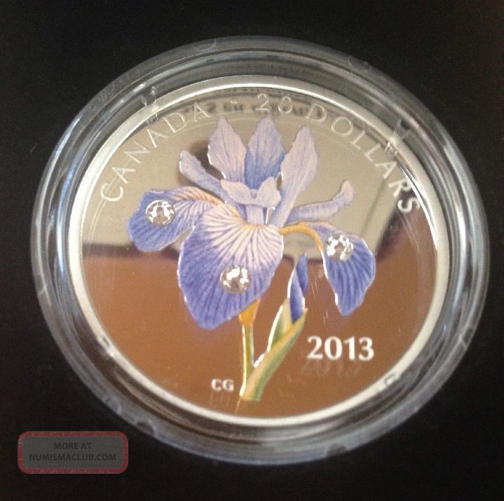 2013 Blue Flag Iris Colorized & Crystallized Prf $20 Silver Coin.  9999 Coins: Canada photo