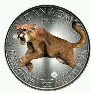 Cougar - Predators Of Canada In Color - 2016 1 Oz Pure Silver Coin - Version Ii photo