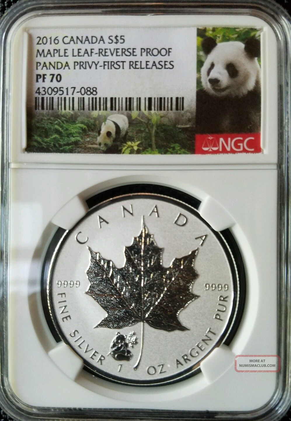 2016 $5 Canada 1 Oz Silver Maple Leaf Ngc Pf70 Panda Privy Rev.  Proof Very Rare Coins: Canada photo