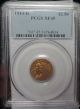 1914 D $2.  5 Indian Gold Piece Xf45 Pcgs Certified Gold photo 6