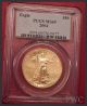 2004 American Gold Eagle Coin Liberty (1 Oz) $50 - Pcgs Ms69 Fine Gold Gold photo 1