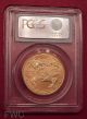2004 American Gold Eagle Coin Liberty (1 Oz) $50 - Pcgs Ms69 Fine Gold Gold photo 6