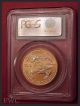 2004 American Gold Eagle Coin Liberty (1 Oz) $50 - Pcgs Ms69 Fine Gold Gold photo 7