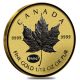 2015 1/10 Oz Gold Canadian Maple Leaf E=mc2 Privy Reverse Proof Coins: Canada photo 3