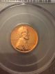 1956 P Wheat Cent Pcgs Pr64 Rd/1956 D Ms 65 Rd Ngc Small Cents photo 1