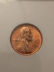 1956 P Wheat Cent Pcgs Pr64 Rd/1956 D Ms 65 Rd Ngc Small Cents photo 2