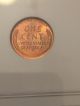 1956 P Wheat Cent Pcgs Pr64 Rd/1956 D Ms 65 Rd Ngc Small Cents photo 4