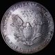 Bu 2000 Silver American Eagle Nicely Toned R3nt Silver photo 1