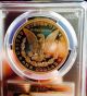 1882 S Morgan Pcgs Ms65 Coin Looks Fully Proof Like Wow Coin Dollars photo 1