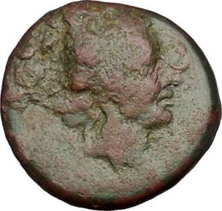 Sardes In Lydia 133bc Dionysus Wine God Panther Spear Ancient Greek Coin I52005 photo