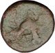 Sardes In Lydia 133bc Dionysus Wine God Panther Spear Ancient Greek Coin I52005 Coins: Ancient photo 1