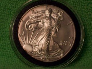 Bu 2010 American Eagle Silver Dollar Combined photo